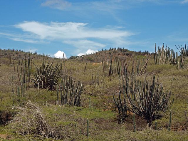 Arikok National Park